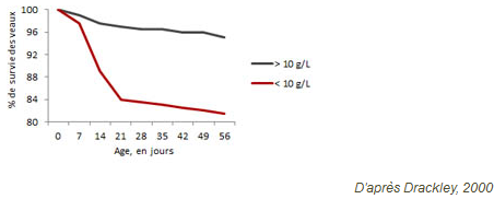 transfert_immunitaire_iodolab