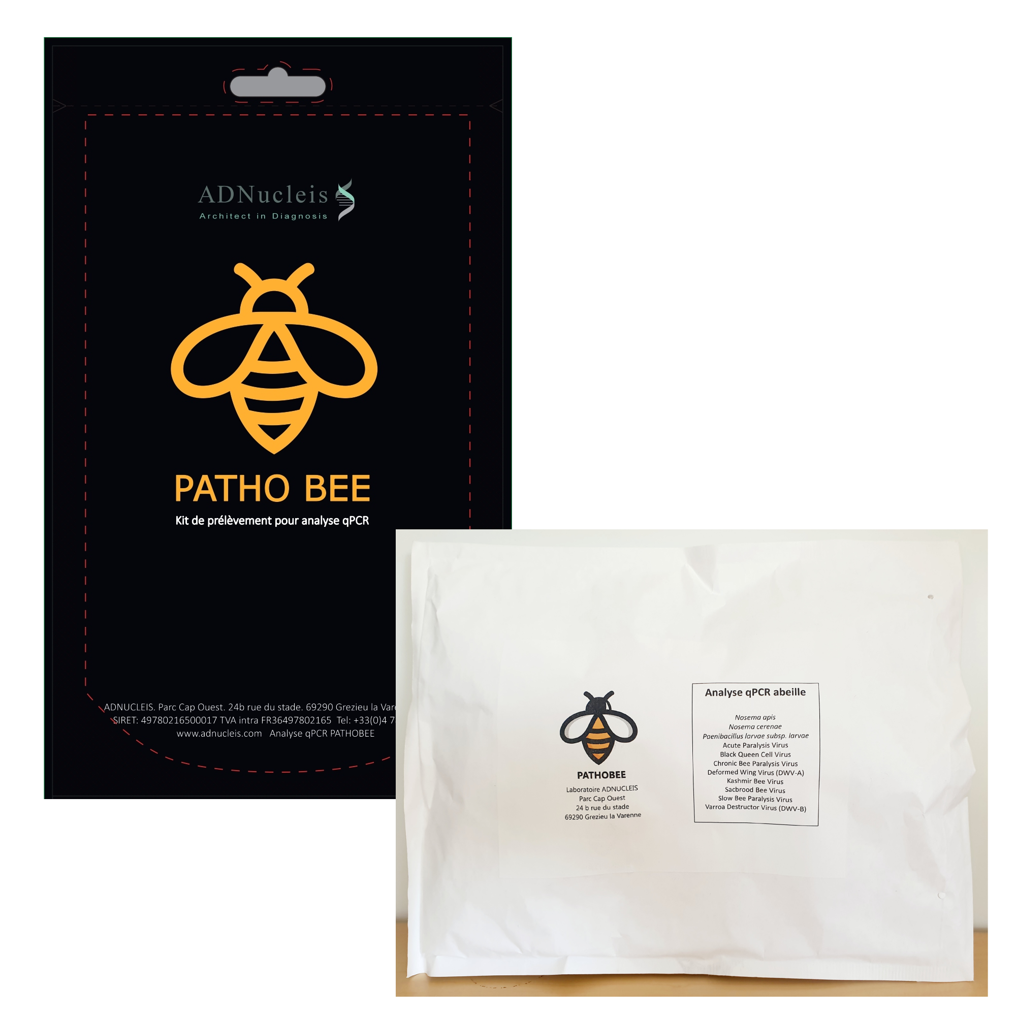 kit pour analyses qPCR ruche-abeilles